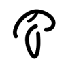 egSignal